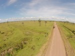 caminos rurales1